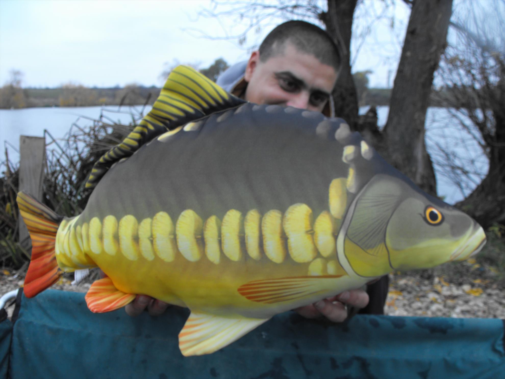 Diverse - dscf1026.JPG